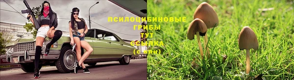 трава Алексин