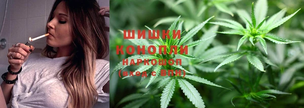 трава Алексин