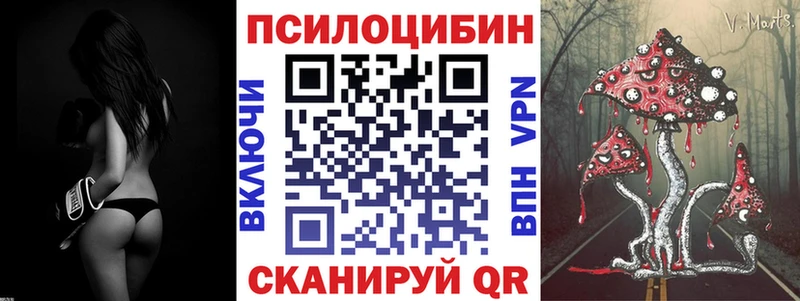 как найти закладки  Урюпинск  Псилоцибиновые грибы Psilocybe 